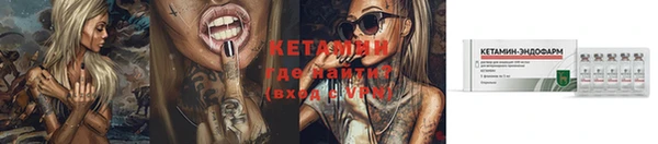 шишки Володарск