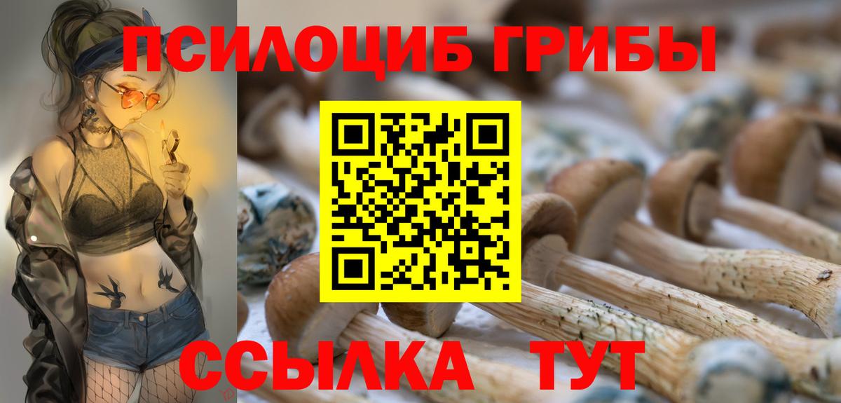 Псилоцибиновые грибы Psilocybine cubensis  Вход с VPN  Киров 